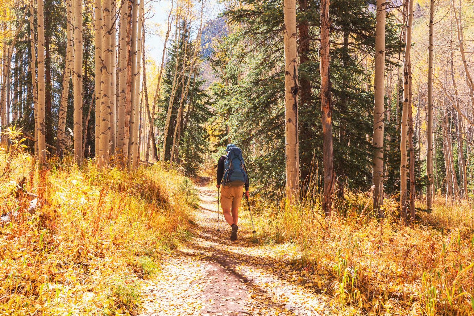 Autumn hike Steamboat Springs Colorado